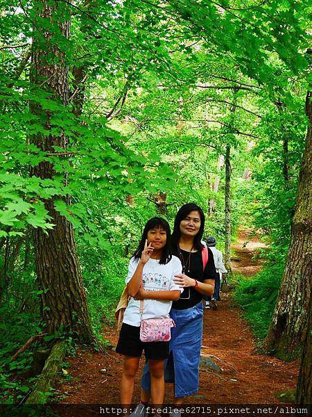 日本東北自駕十天2024年6月21-30日(第1-5天)宮城