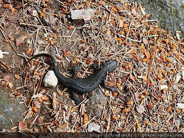 日本東北自駕十天2024年6月21-30日(第1-5天)宮城 日本東北自駕十天2024年6月21-30日(第1-5天)宮城