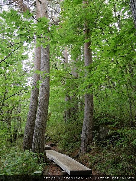 日本東北自駕十天2024年6月21-30日(第1-5天)宮城