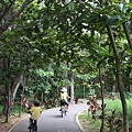 台東森林公園