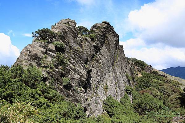 合歡主峰步道美景2