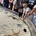 水族館..2019-7-23