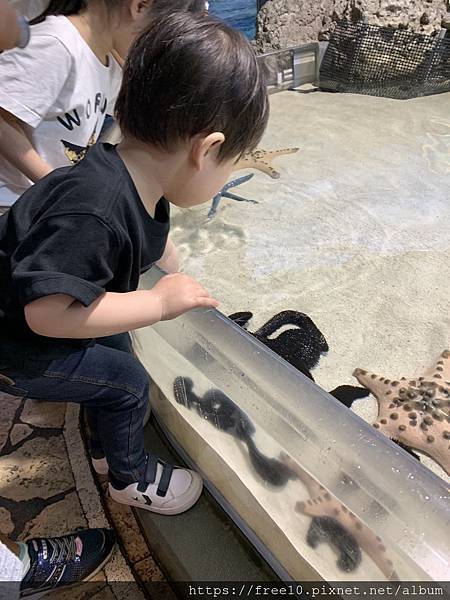 水族館..2019-7-23