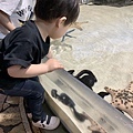 水族館..2019-7-23