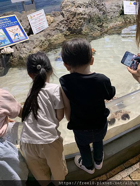 水族館..2019-7-23