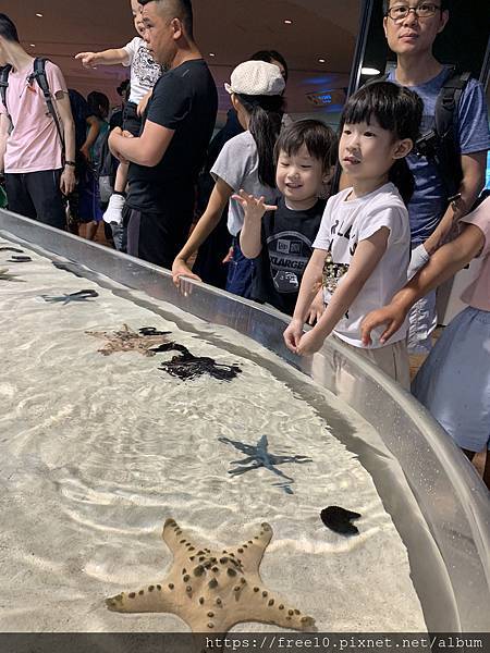 水族館..2019-7-23