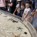 水族館..2019-7-23