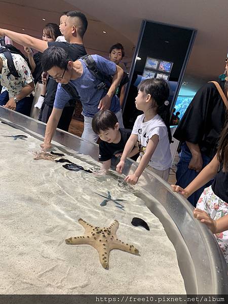 水族館..2019-7-23