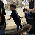 水族館..2019-7-23