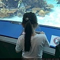 水族館..2019-7-23