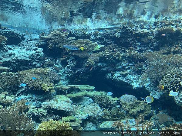 水族館..2019-7-23