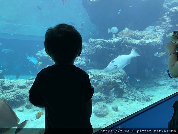 水族館..2019-7-23