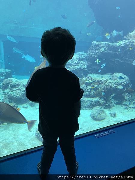 水族館..2019-7-23