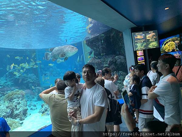 水族館..2019-7-23