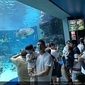 水族館..2019-7-23