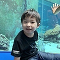 水族館..2019-7-23