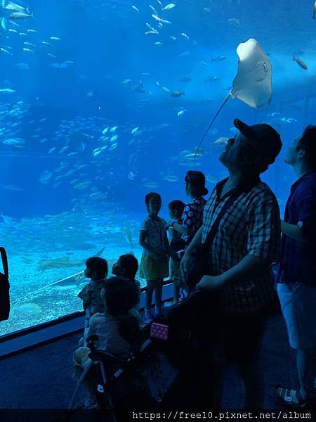 水族館..2019-7-23