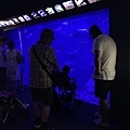 水族館..2019-7-23