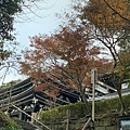 長谷寺..2019-12-9