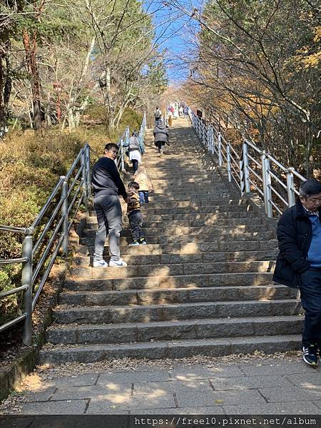 新倉山淺間公園..2019-12-14.