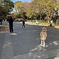 上野公園..2019-12-15