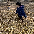 上野公園..2019-12-15