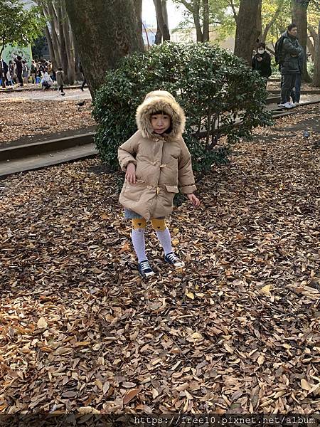 上野公園..2019-12-15