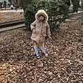 上野公園..2019-12-15