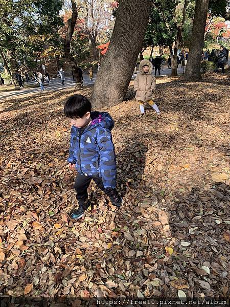 上野公園..2019-12-15