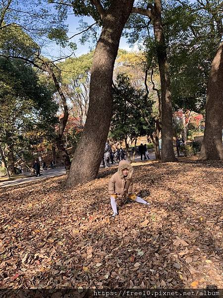 上野公園..2019-12-15