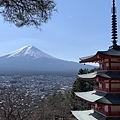 新倉山淺間公園..2019-12-14.