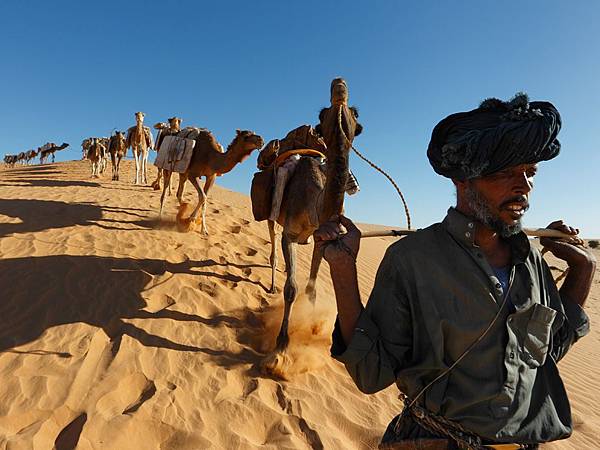 馬里，一名男子領著駱駝商隊在沙漠上行進。他是柏柏爾人與阿拉伯人的混血兒。他的叔叔是柏柏爾人，教會他哪些植物能夠治療駱駝的傷病或者讓駱駝喪命，以及如何根據啥子的顏色、紋理和味道導航。