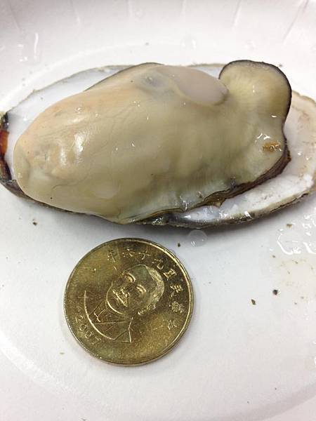 11091247_10205717008181662_1483353505_n