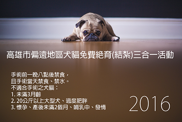 2016高雄市偏遠地區犬貓免費絕育(結紮)三合一活動