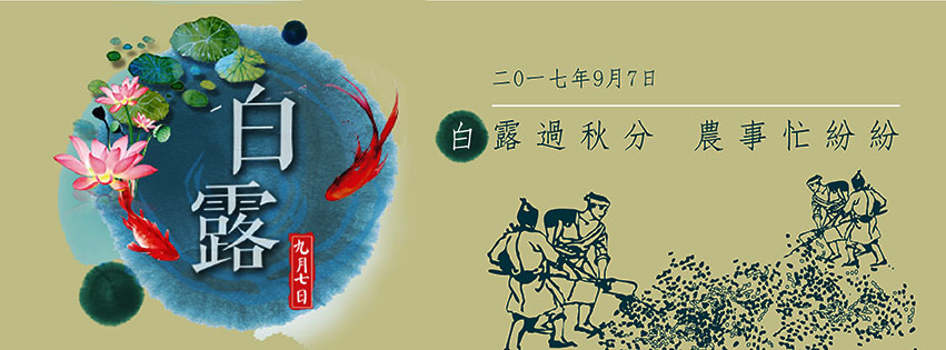 白露-99.jpg 白露-99.jpg
