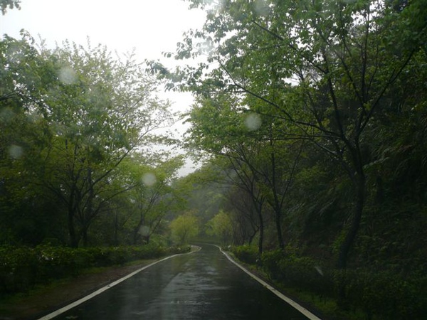 P1080452.JPG