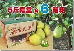 麻豆文旦5斤裝x6箱組