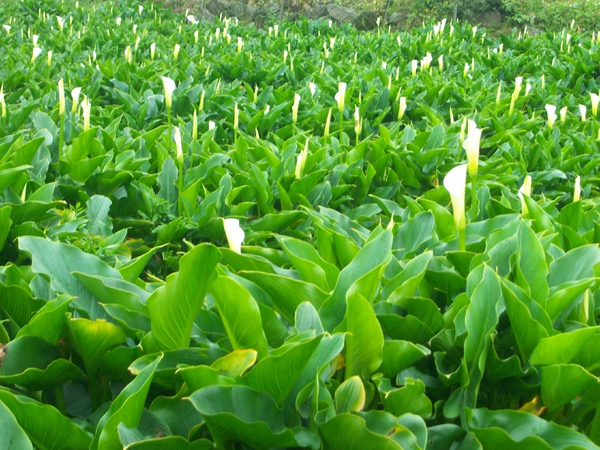 照片 062.jpg 照片 062.jpg