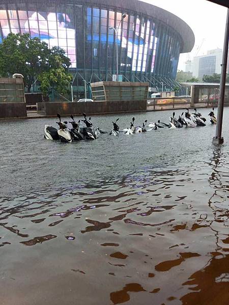 hito17-053.JPG hito17-053.JPG