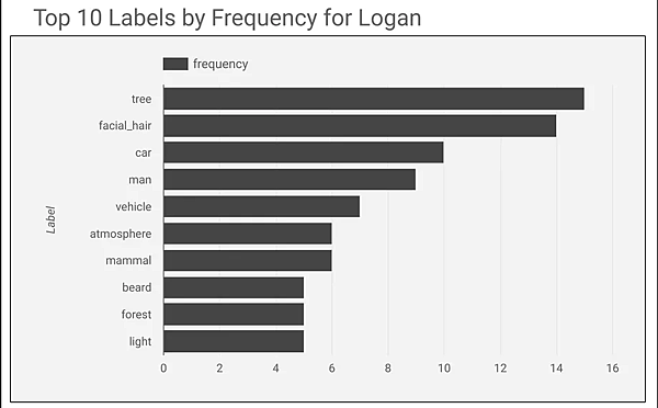 Top 10 Labels by Frequency for Logan.png