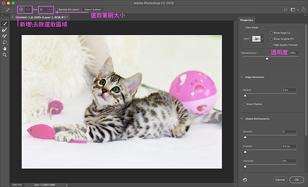 Photoshop選取並遮住-3-朝著想去背的主體來回塗抹.png Photoshop選取並遮住-3-朝著想去背的主體來回塗抹.png