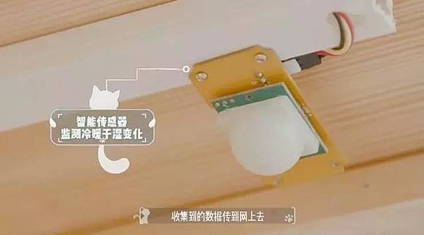 ai-temp-detector-15.jpg ai-temp-detector-15.jpg
