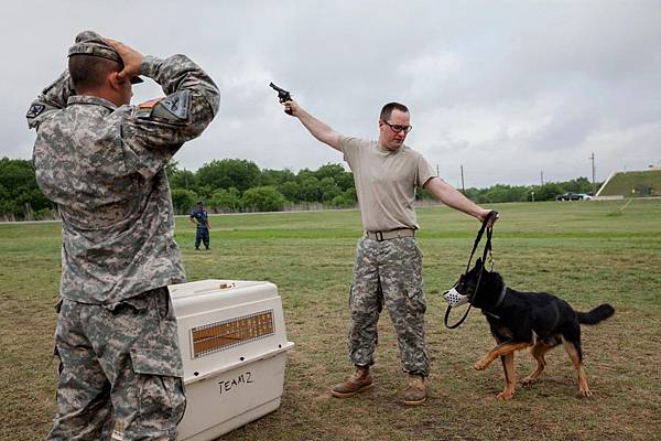 army-dog-training-1.jpg army-dog-training-1.jpg
