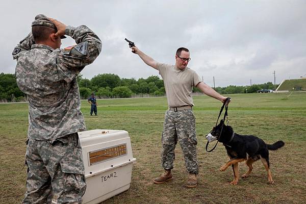 army-dog-training-1.jpg