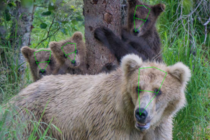 bear-id-ai-draw-3.jpg bear-id-ai-draw-3.jpg