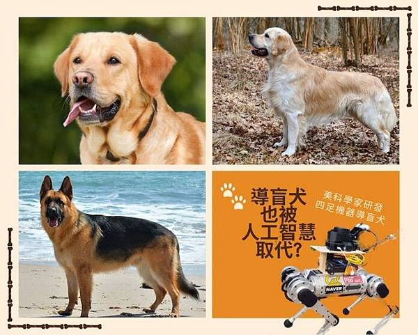 guide-dogs-to-be-replaced-by-ai-696x557-1.jpg