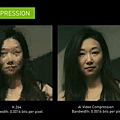 vid2vid-cameo-ai-video-compression-3.jpg