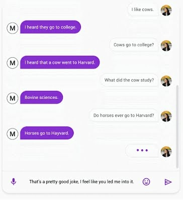 google-chatbot-meena-2.jpeg