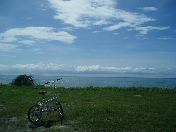 濱海公園-小白看海2.JPG