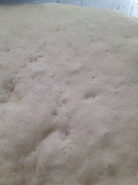 IMG_5540 IMG_5540